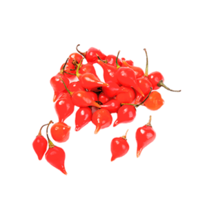 PIMENTA BICO/ BIQUINHO BDJ