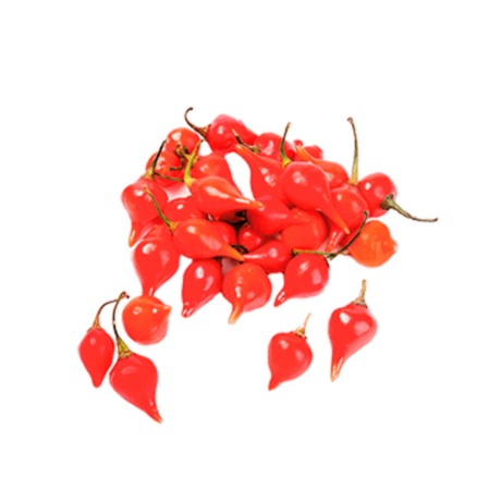 PIMENTA BICO/ BIQUINHO BDJ