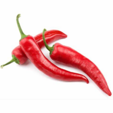 PIMENTA DEDO DE MOÇA VERMELHA BDJ