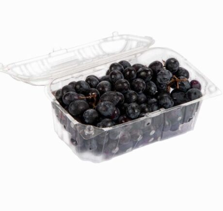 UVA PRETA S/ CAROÇO BDJ